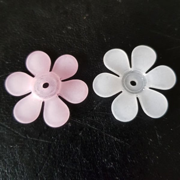 15 flores de margarida sortidas