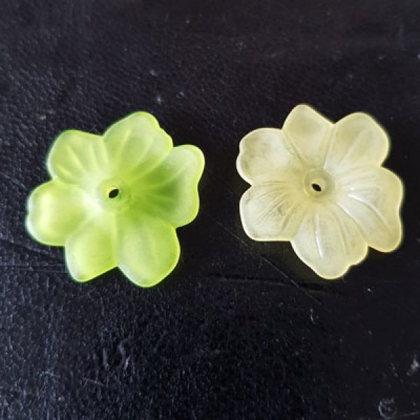 15 Flores N&deg;02 sortidas