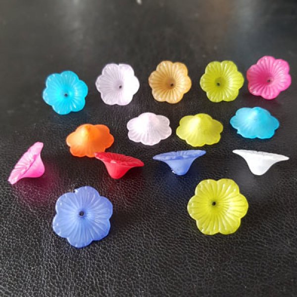 15 flores de margarida sortidas