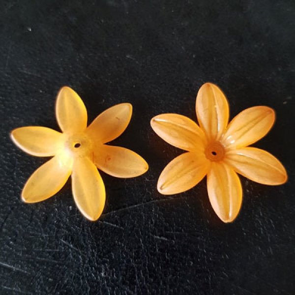 15 l&iacute;rios variados