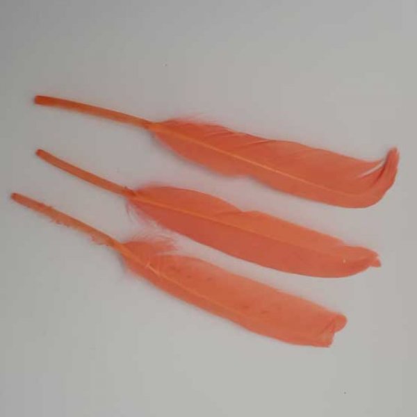 1 Plume 15 cm N&deg;01 Saumon