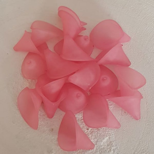 20 Flores de Arum rosa escuro Pequeno