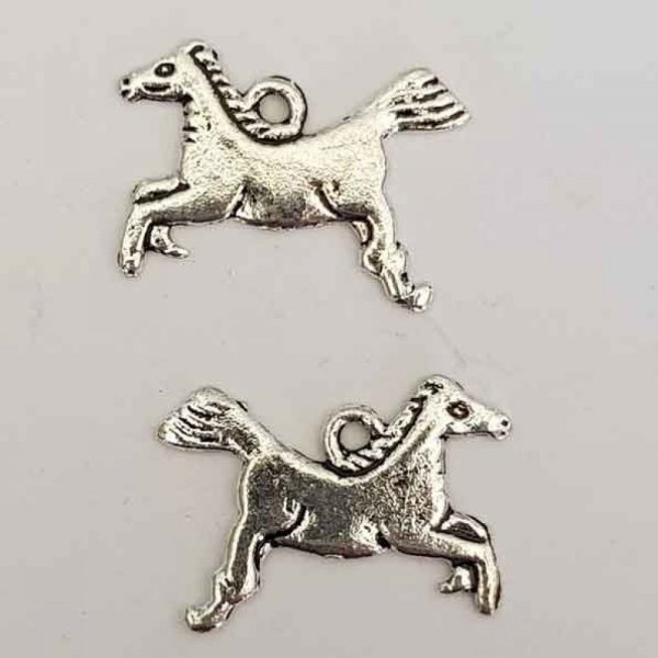 Encanto do cavalo N&deg;02