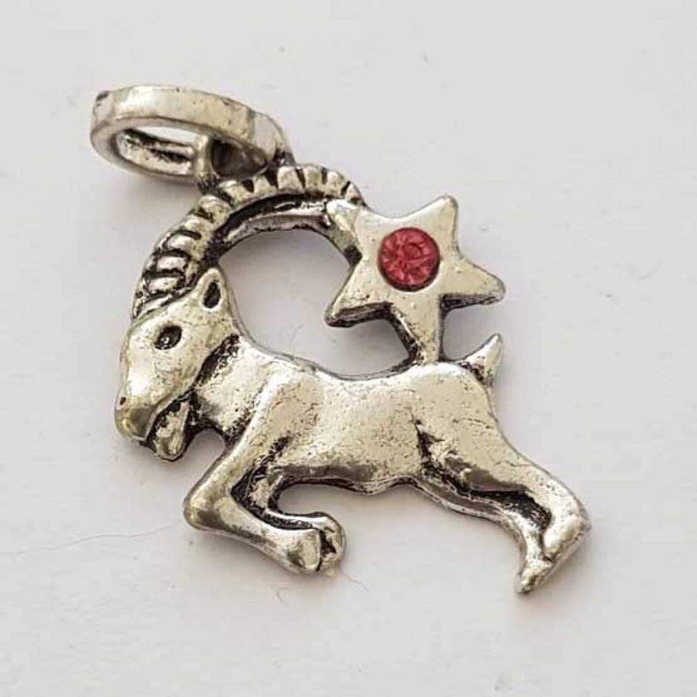 Pendente signo do zodíaco Capricórnio prateado N°03 com strass