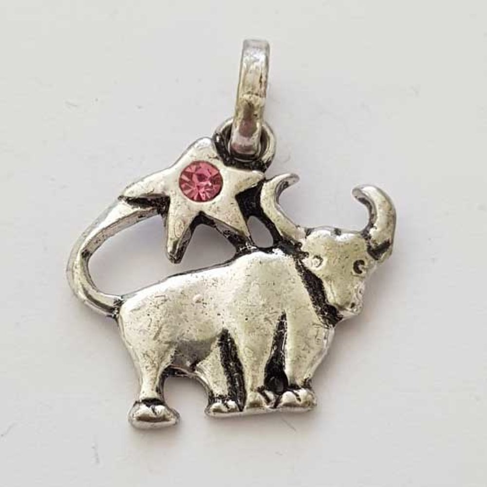 Pendente signo do zodíaco Touro Metal prateado N°03 com strass