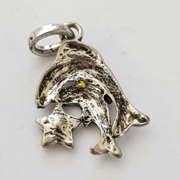 Signo do Zod&iacute;aco Peixes Charm Metal Prata N&deg;03 com strass