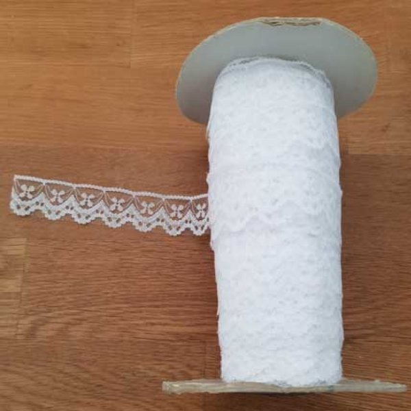 Dentelle Blanc Style Tulle 25 mm N&deg;01