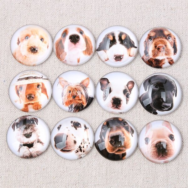 Lote 24 caboch&otilde;es de vidro redondos 25mm Caboch&atilde;o de vidro misto para c&atilde;es 