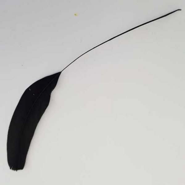 Plume 16 cm N&deg;02 Noir