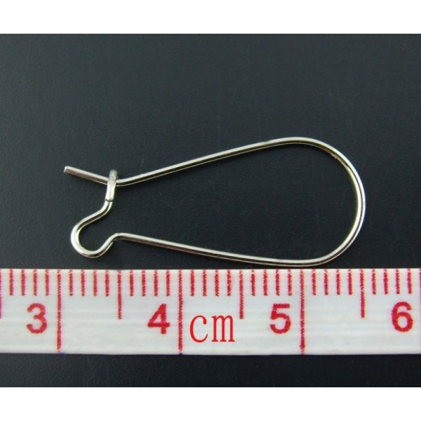 Suporte para brincos Dormeuse 25mm N&deg;06 x 10 pares