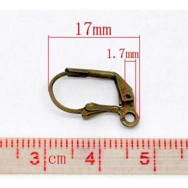 Support Boucle d'oreille Dormeuse N&deg;09 x 25 Paires