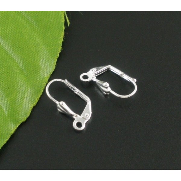 Suporte para brincos Sleeper N&deg;20 x 5 pares