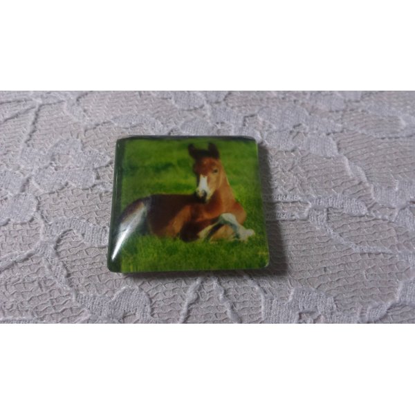 Caboch&atilde;o de vidro quadrado 30mm 028 