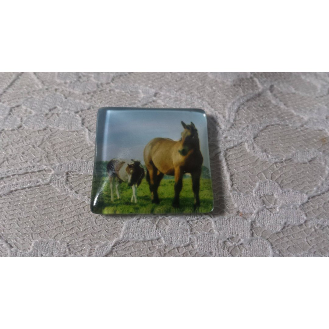 Cabochão de vidro quadrado 30mm 021 