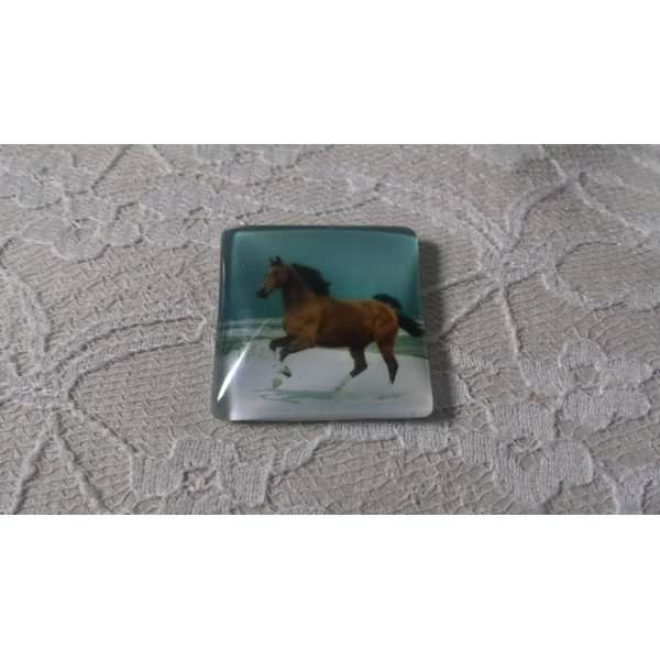 caboch&atilde;o de vidro quadrado 30mm 019 