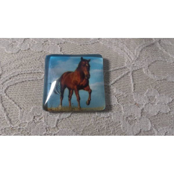 caboch&atilde;o quadrado de vidro 30mm 015 