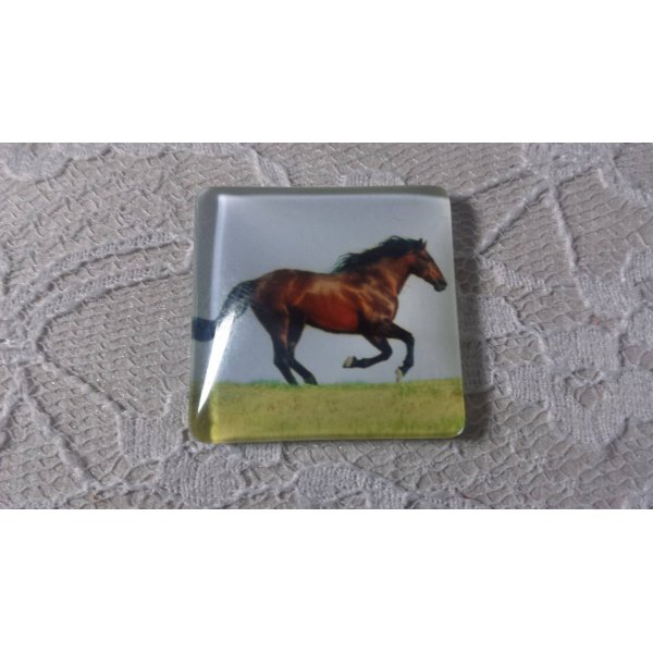 Caboch&atilde;o de vidro quadrado 30mm 009 