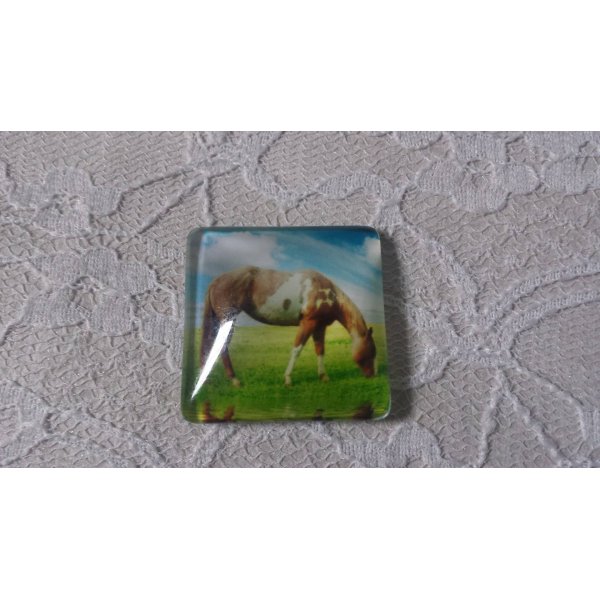 Caboch&atilde;o de vidro quadrado 30mm 001 