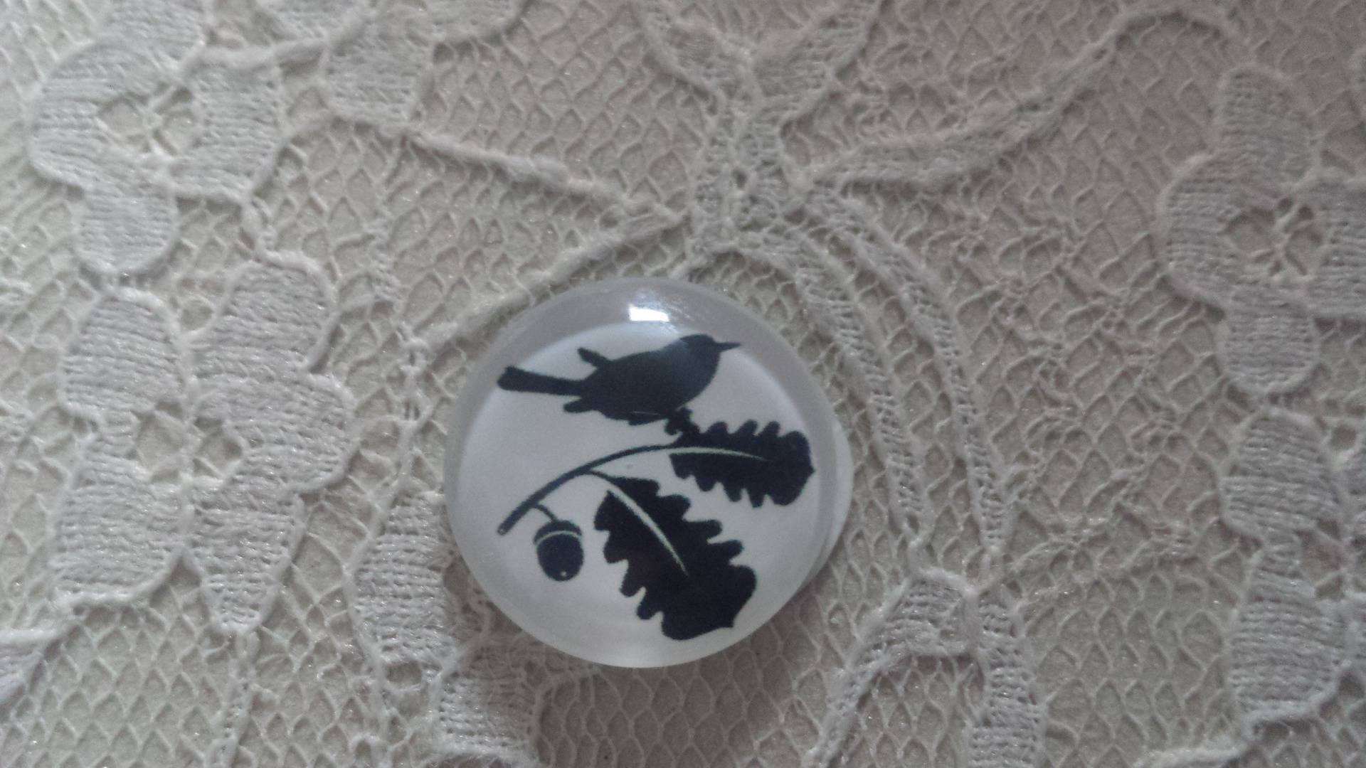 cabochão de vidro redondo 10mm aves 017 