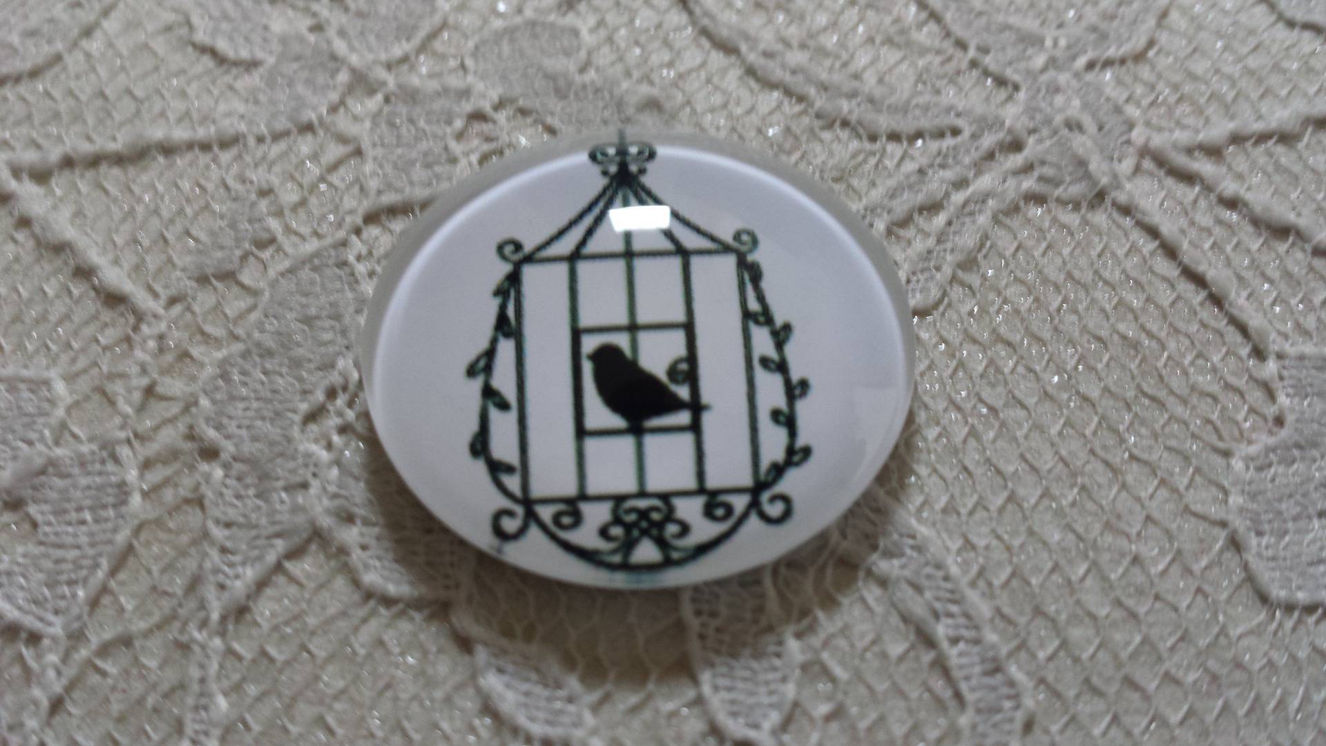 cabochão de vidro redondo 20mm aves 023 