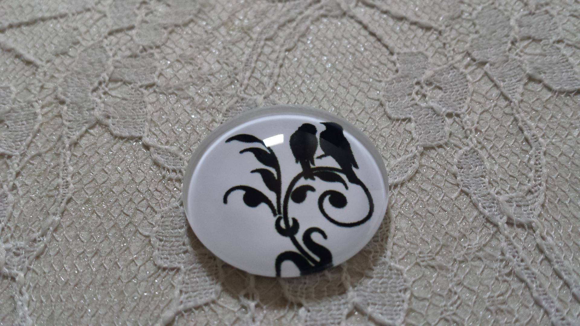 cabochão de vidro redondo 20mm aves 022 