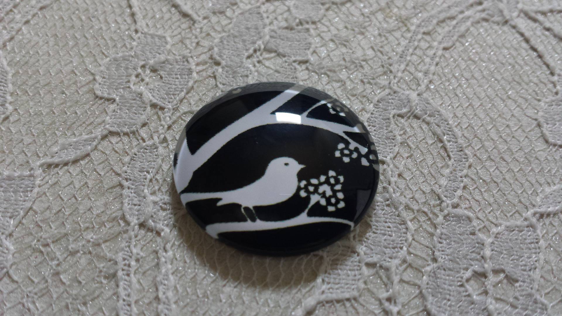 cabochão de vidro redondo 25mm aves 021 