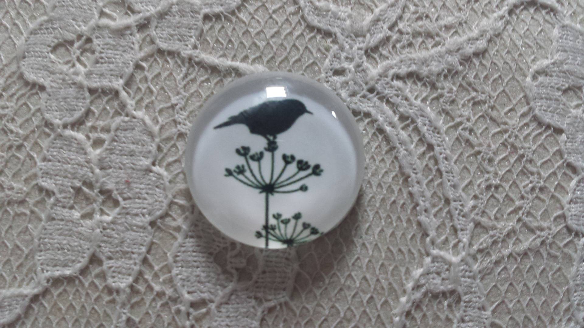 cabochão de vidro redondo 25mm aves 019 