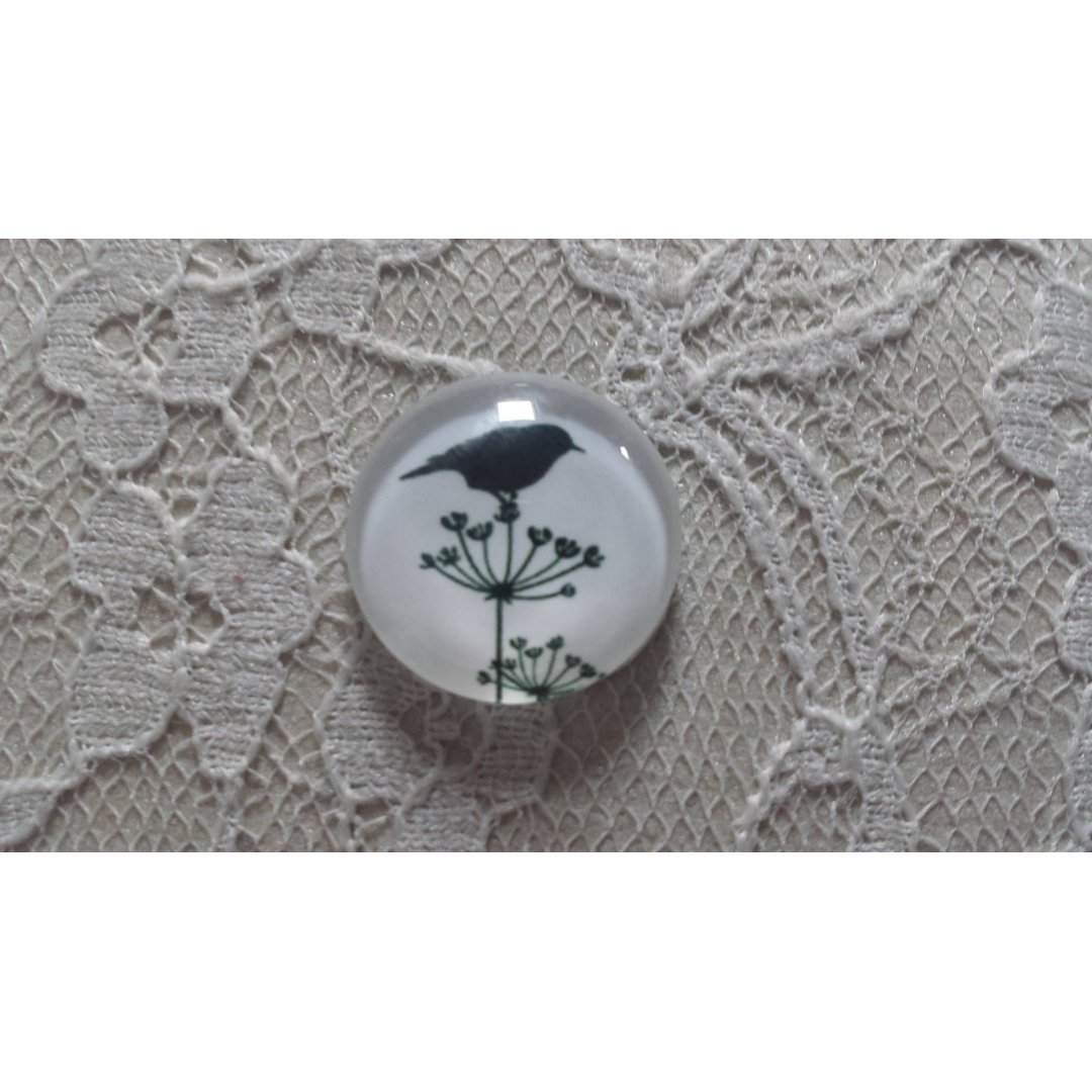 cabochão de vidro redondo 25mm aves 019 