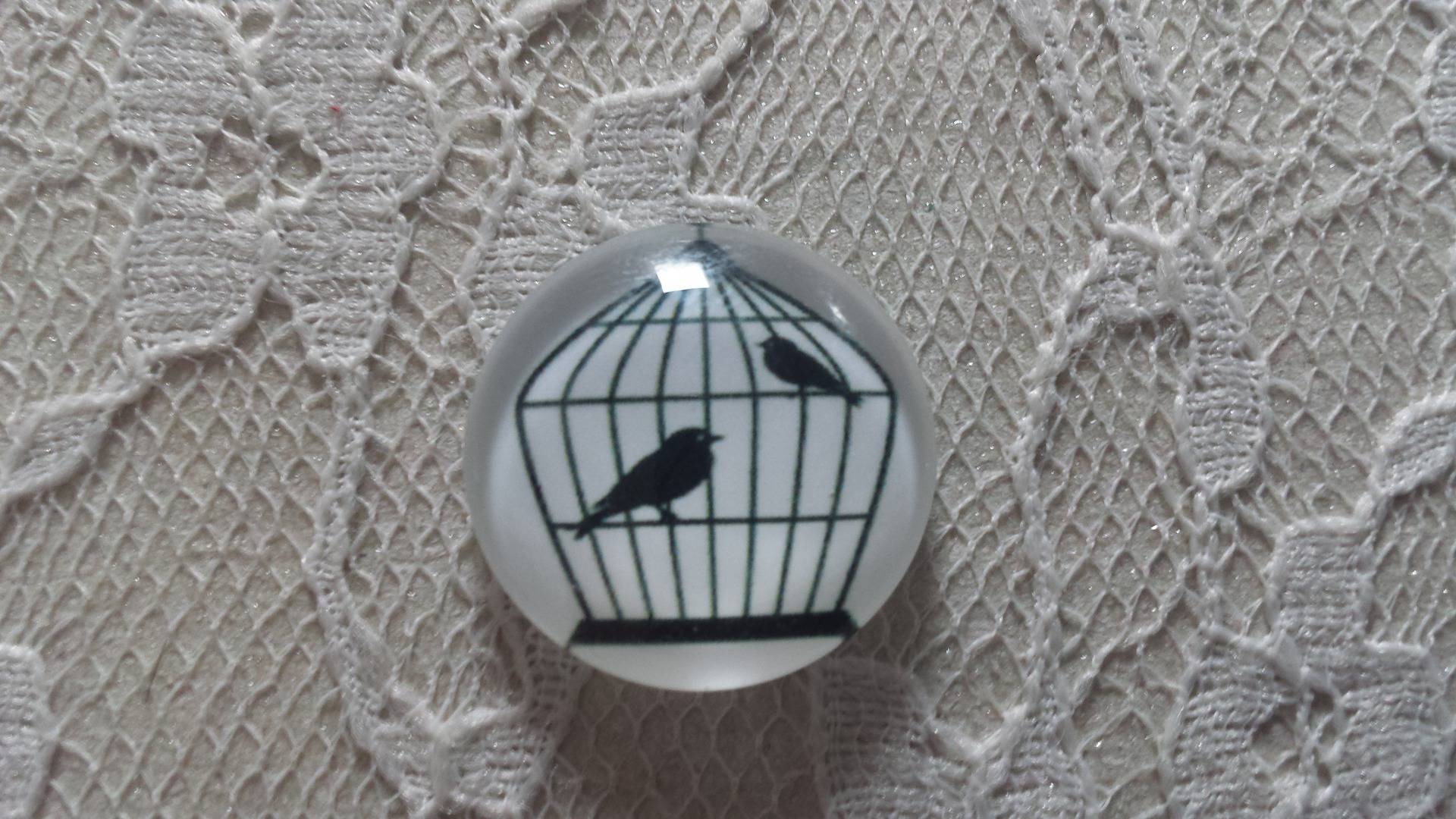 cabochão de vidro redondo 25mm aves 009 