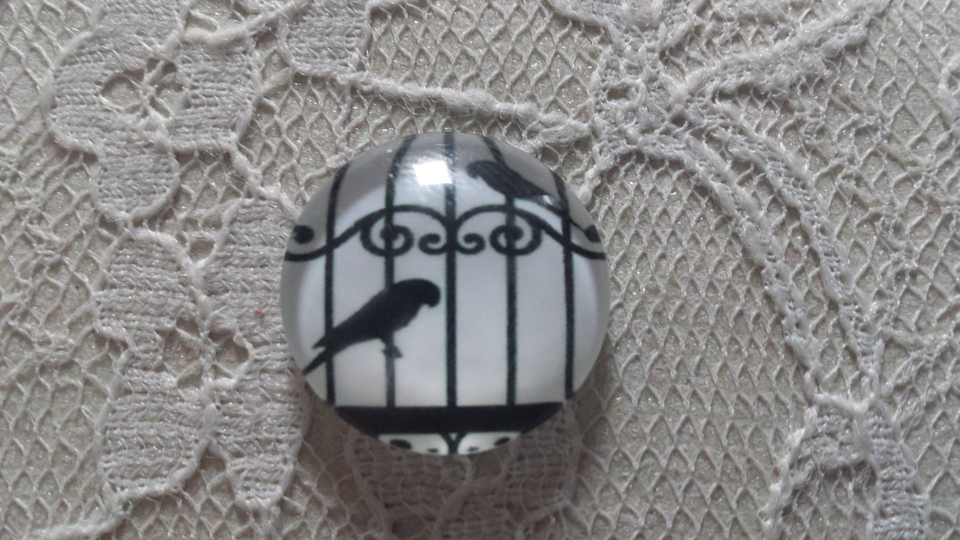 cabochão de vidro redondo 25mm aves 008 