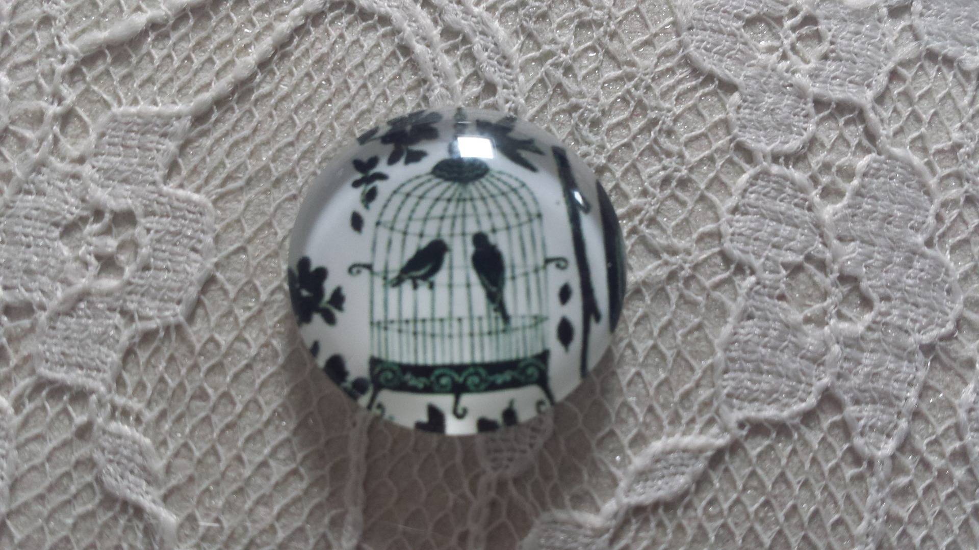 cabochão de vidro redondo 25mm aves 006 