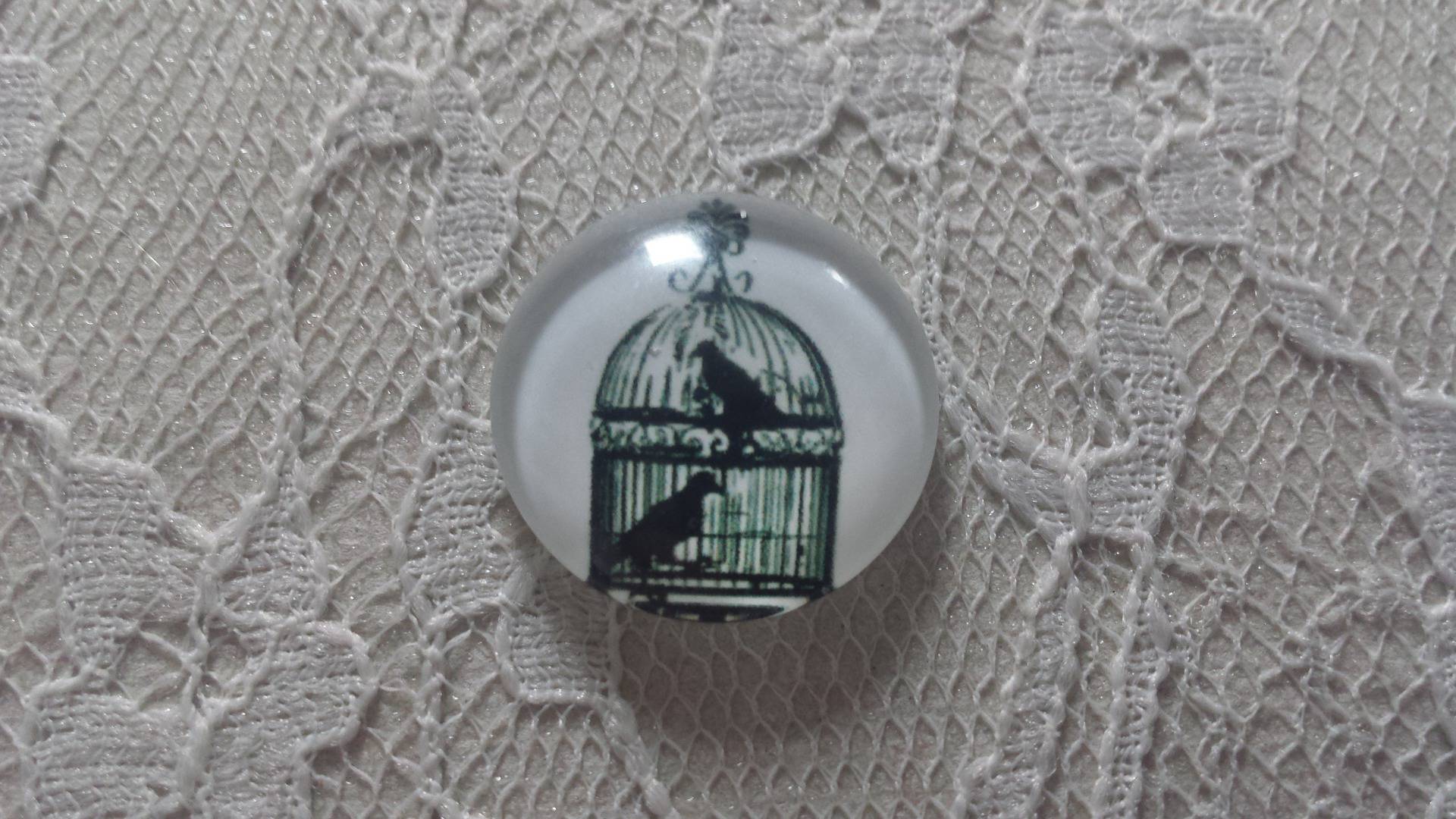 cabochão de vidro redondo 25mm aves 004 