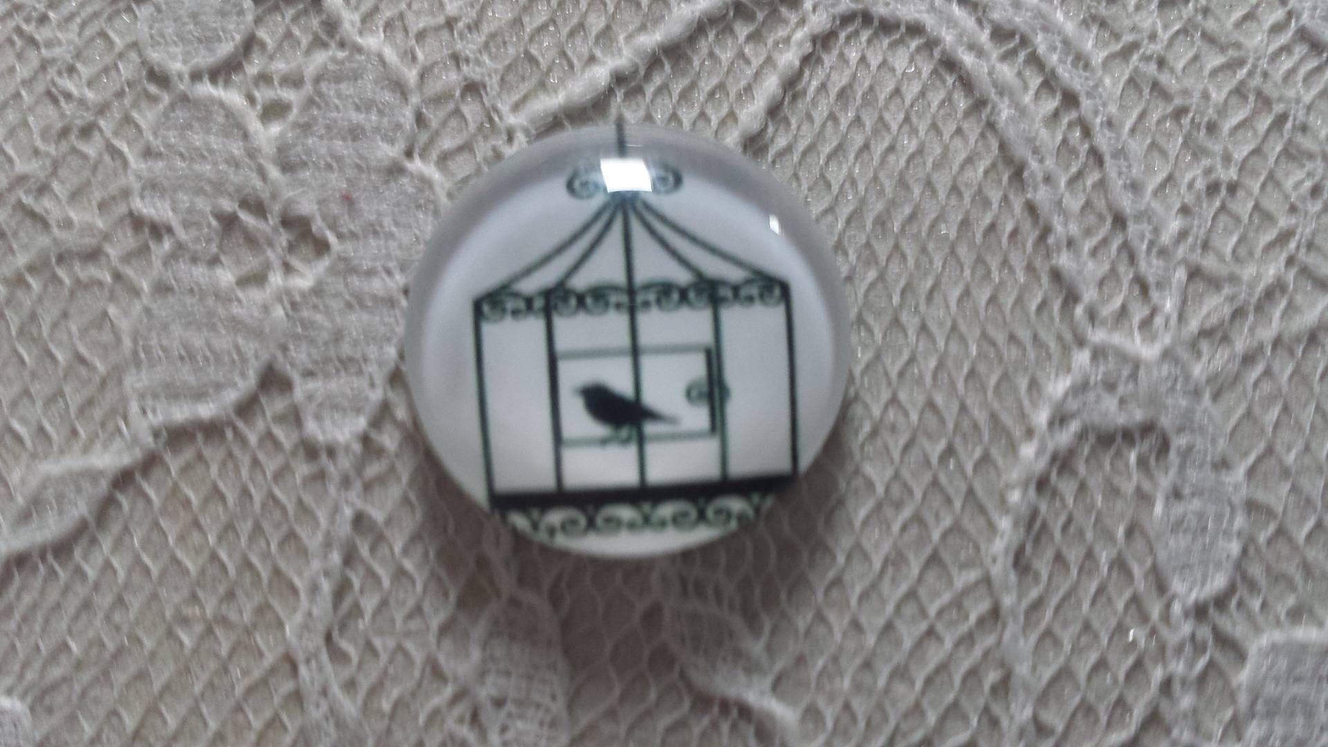cabochão de vidro redondo 20mm aves 010 