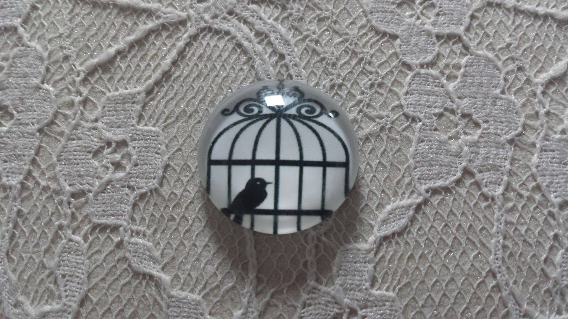 cabochão de vidro redondo 20mm aves 007 