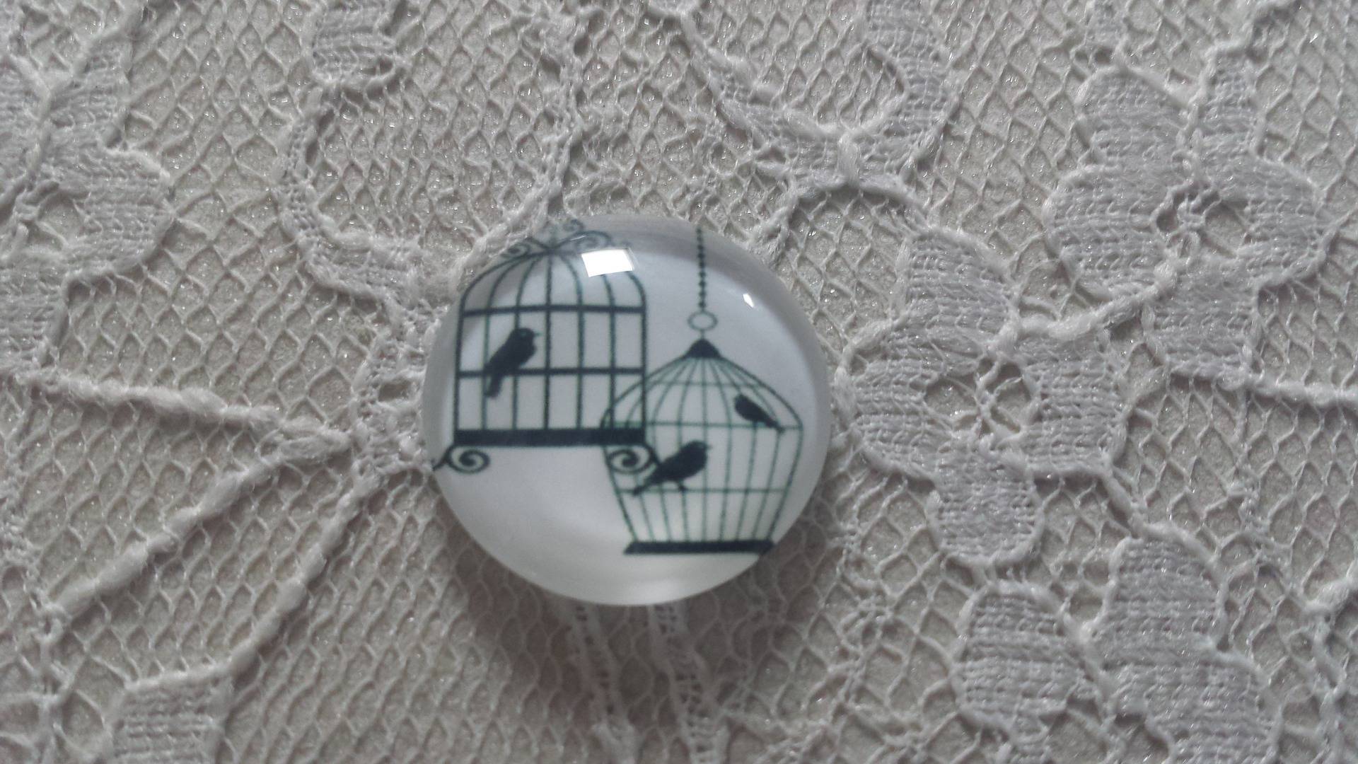 cabochão de vidro redondo 20mm aves 003 