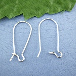 Suporte para brincos Dormeuse 24mm N°02 x 40 pares