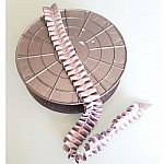 Fita de fantasia N°059 por metro