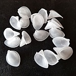 20 Flores Arums Branco Pequeno