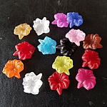 15 flores de orquídea sortidas