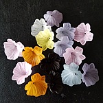 15 Flores N°01 sortidas