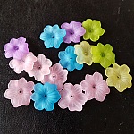 15 Flores N°02 sortidas