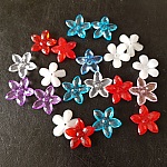 20 Flores N°03 sortidas