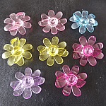 8 Flores N°04 sortidas