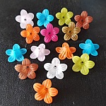 15 flores de amor-perfeito sortidas