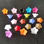 20 flores de miosótis variadas