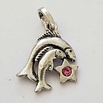 Signo do Zodíaco Peixes Charm Metal Prata N°03 com strass