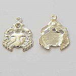 Pendente signo do zodíaco Câncer Metal prateado N°04 com strass