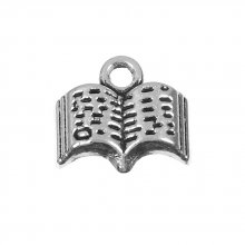 Amuleto de livro x 2
