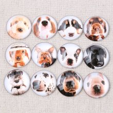 Lote 24 cabochões de vidro redondos 25mm Cabochão de vidro misto para cães 