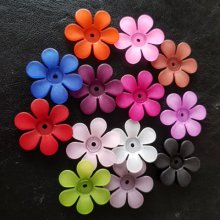 15 flores de margarida sortidas